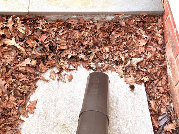 Residential Gutter Cleaning Melbourne for Cleaner, Safer Homes